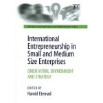 International Entrepreneurship In Small And Medium Size Enterprises: Orientation, Environment And Strategy The Mcgill International Entrepreneurship Series